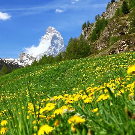 A-3 By Interhome Appartement Zermatt